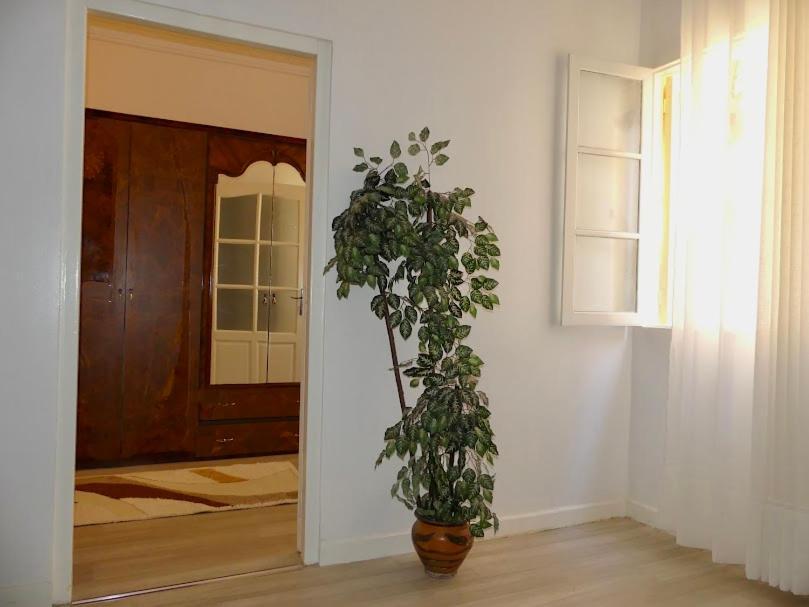 A Cozy Home Right In The Heart Of แทนเจียร์ ภายนอก รูปภาพ